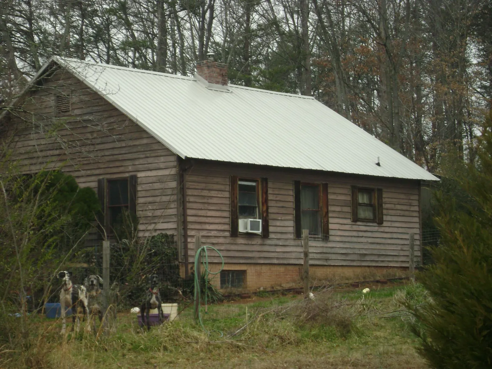 White metal roof on an old wood sided farmhouse, from a Metal Roof Installation job in East Hartford